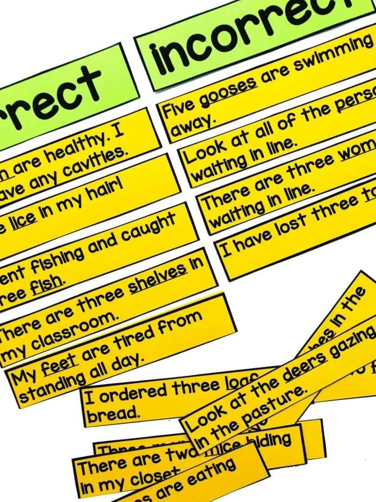 teaching-irregular-plural-nouns-hollie-griffith